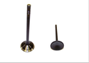 Engine Exhaust Valve Compatible With 1.png