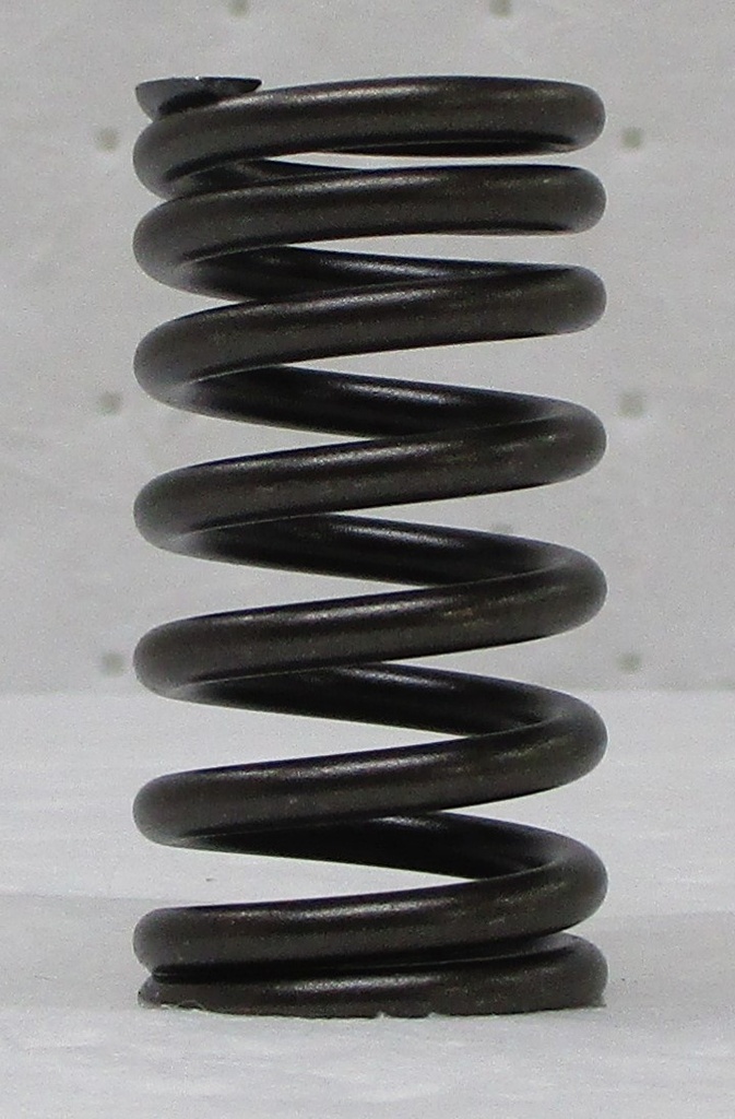 Valve Spring 1.jpg