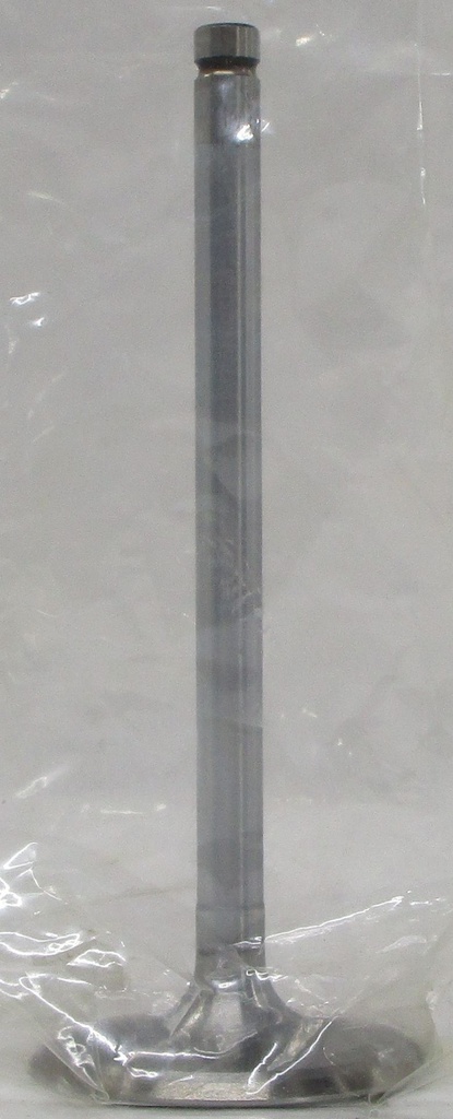 Engine Intake Valve Compatible With 1.jpg